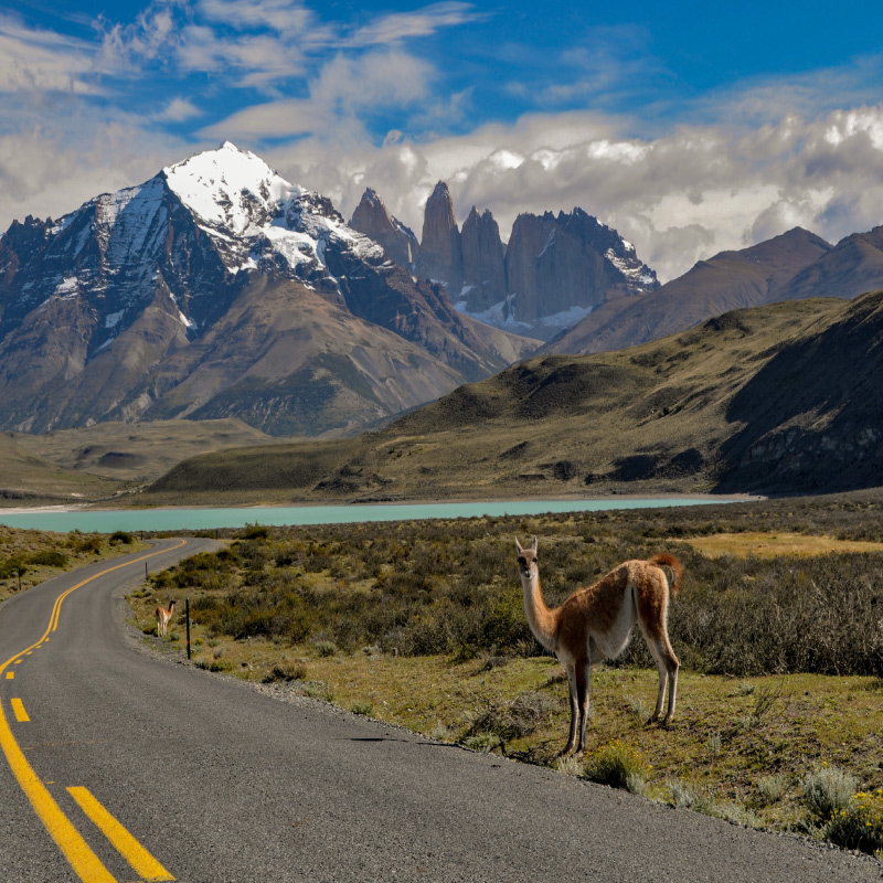 Estudia en Nueva Zelanda