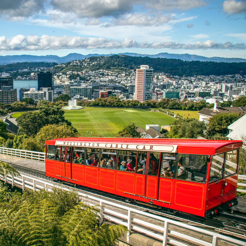 Arnau  en Wellington (Nueva Zelanda), en NZLC