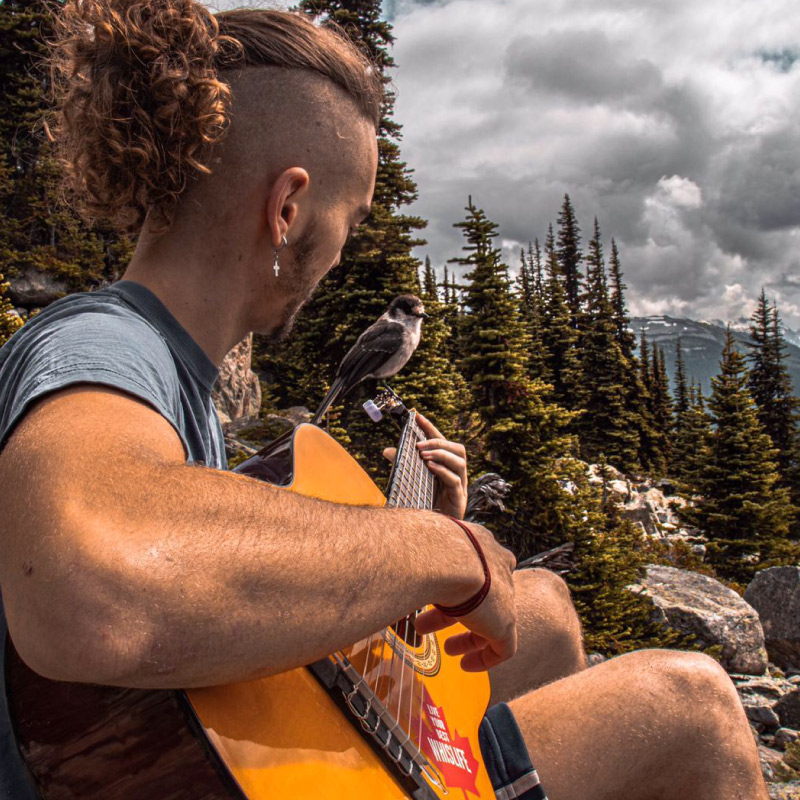David Matas en Canada